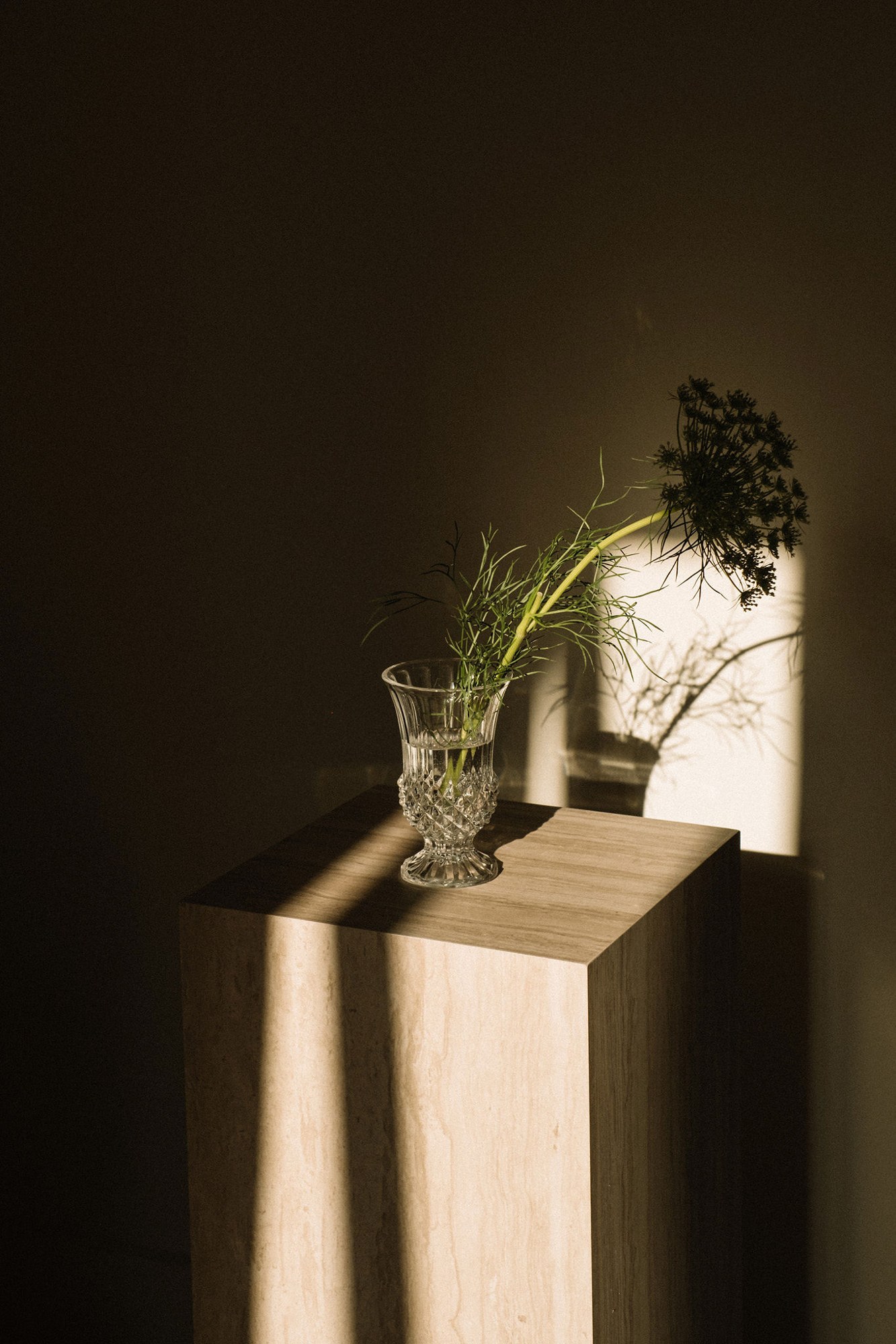 Crystal vase with fennel flower on a travertine plinth in the house